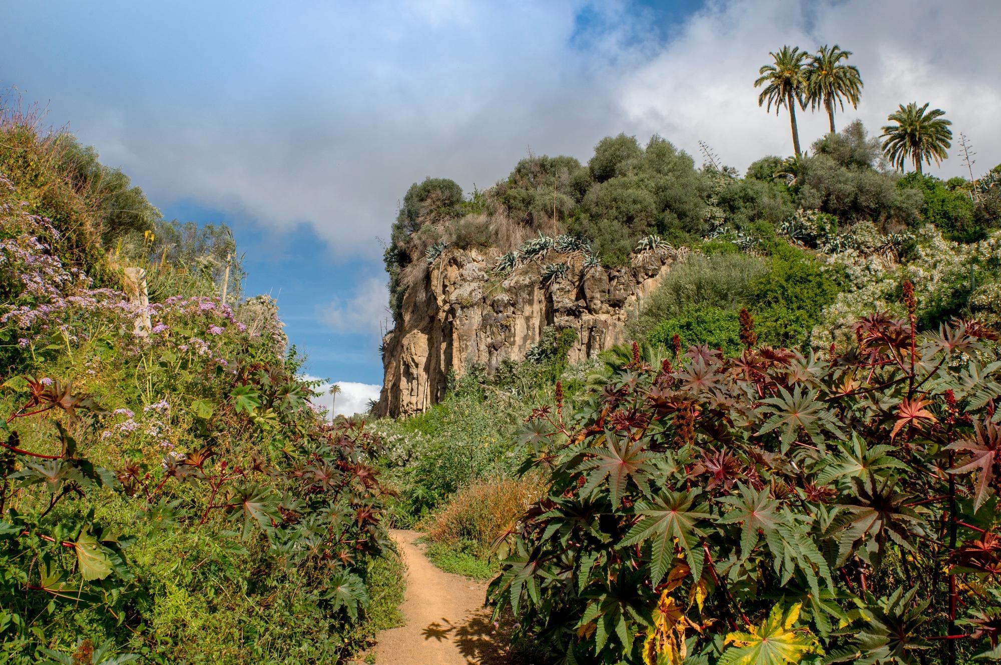 Un entorno natural único en plena ciudad para pasear y desconectar